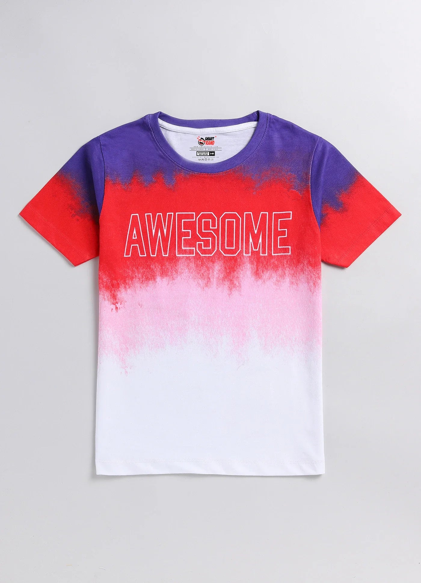 Boys Colorblock Pure Cotton Regular T Shirt  (Multicolor, Pack of 1)