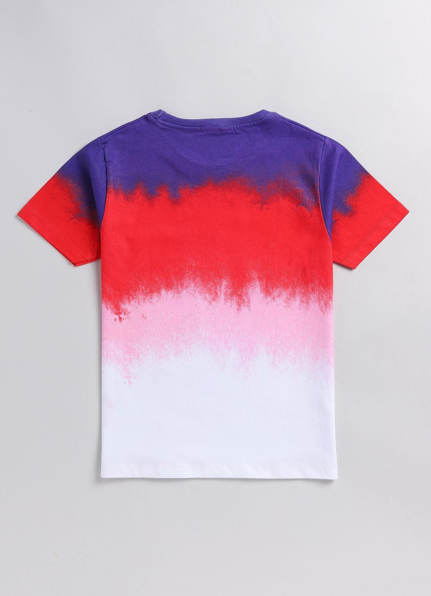 Boys Colorblock Pure Cotton Regular T Shirt  (Multicolor, Pack of 1)