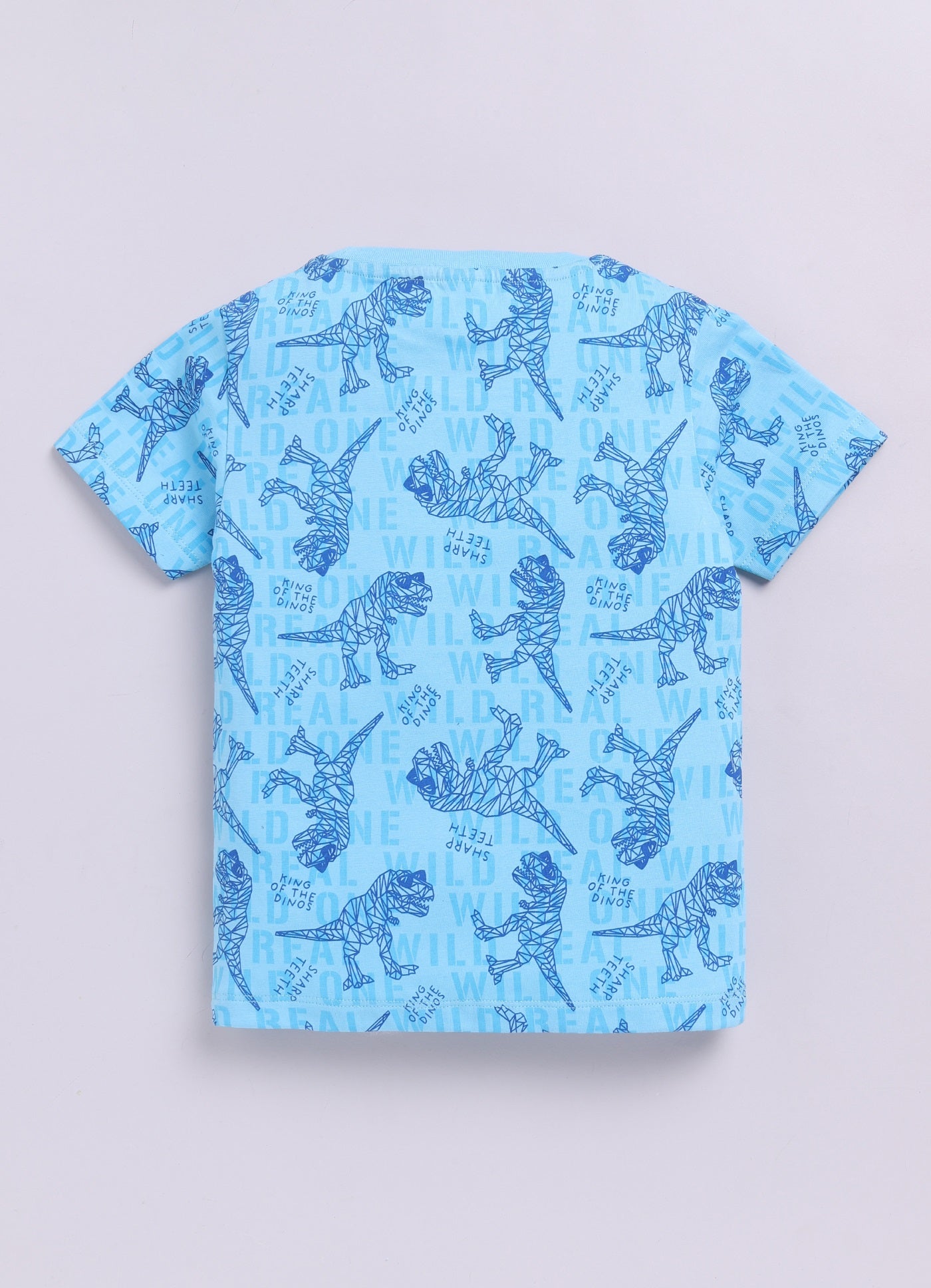 Baby Boys Cartoon Pure Cotton Regular T Shirt  (Light Blue, Pack of 1)