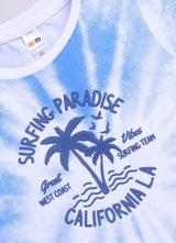 Baby Boys Cartoon Pure Cotton Regular T Shirt  (Multicolor, Pack of 1)