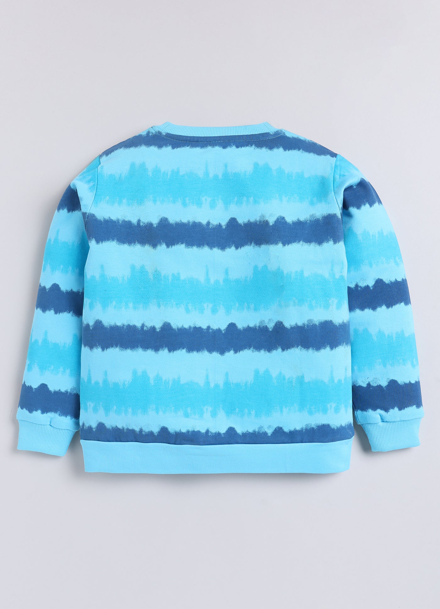 Baby Boys Full Sleeve Graphic Print Sweatshirt