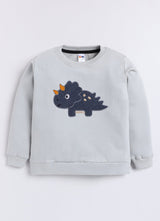 Baby Boys Full Sleeve Graphic Print Sweatshirt