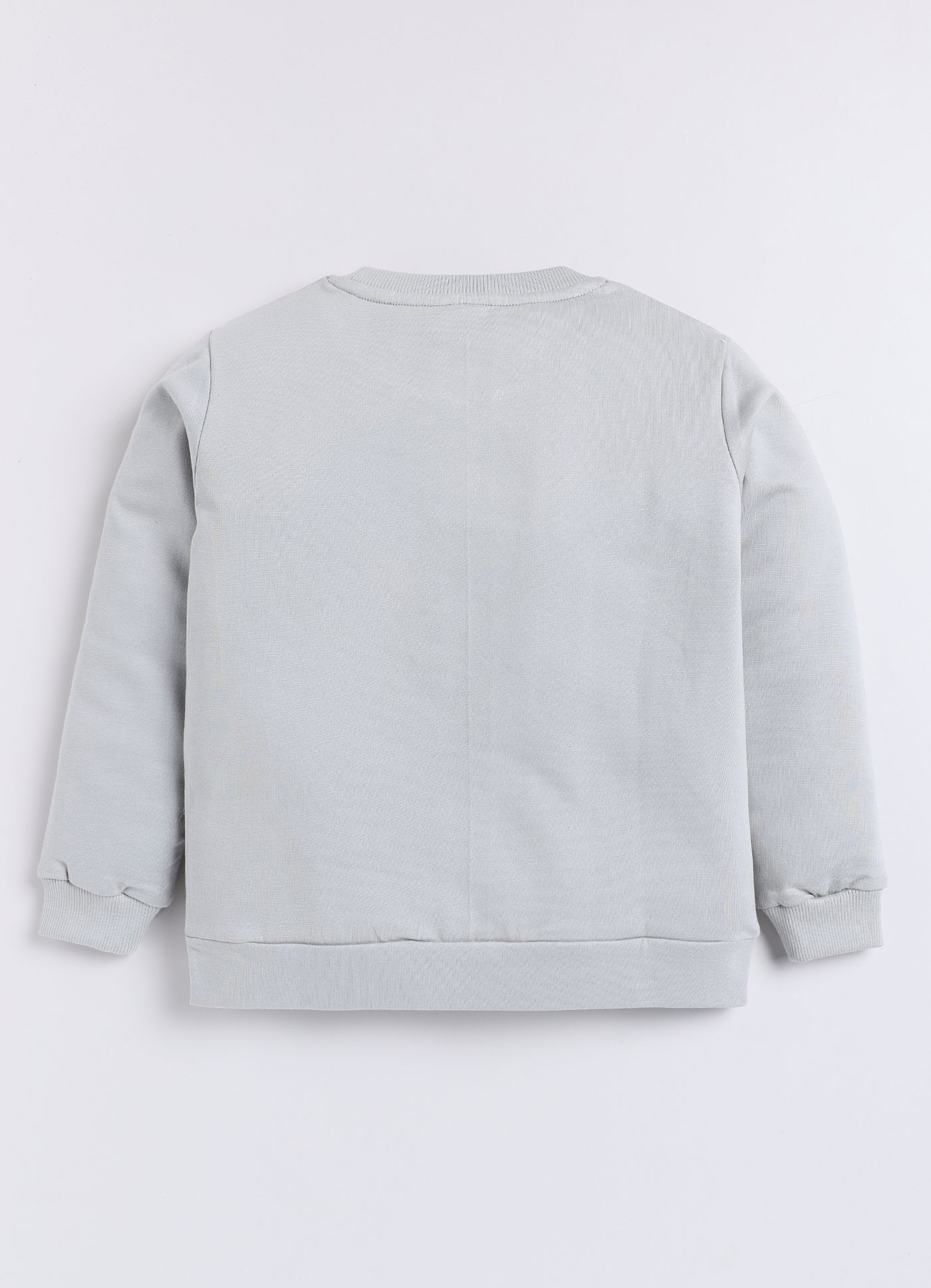 Baby Boys Full Sleeve Graphic Print Sweatshirt