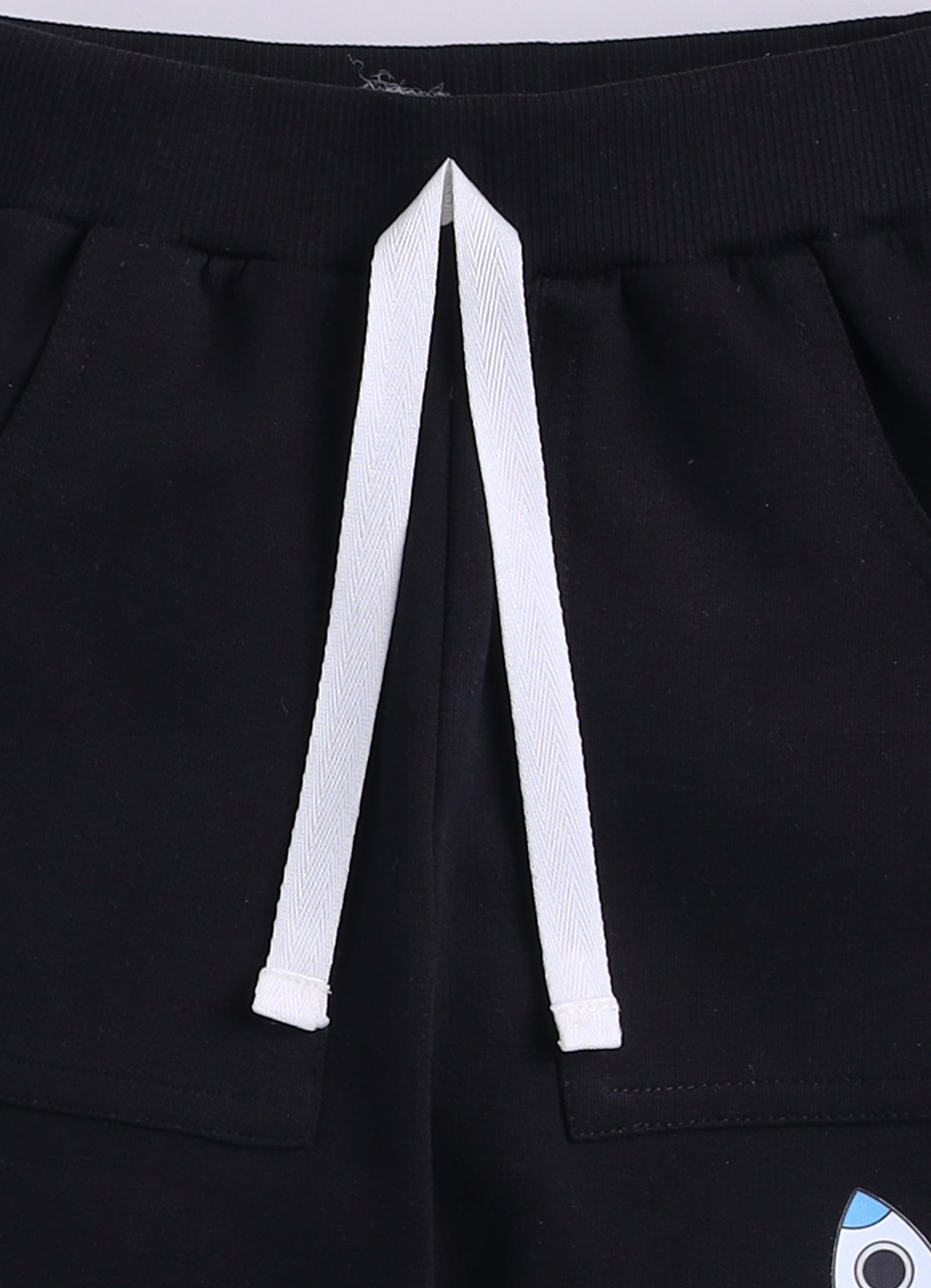 Baby Boys Casual Sweatshirt Track Pants  (MULTI)