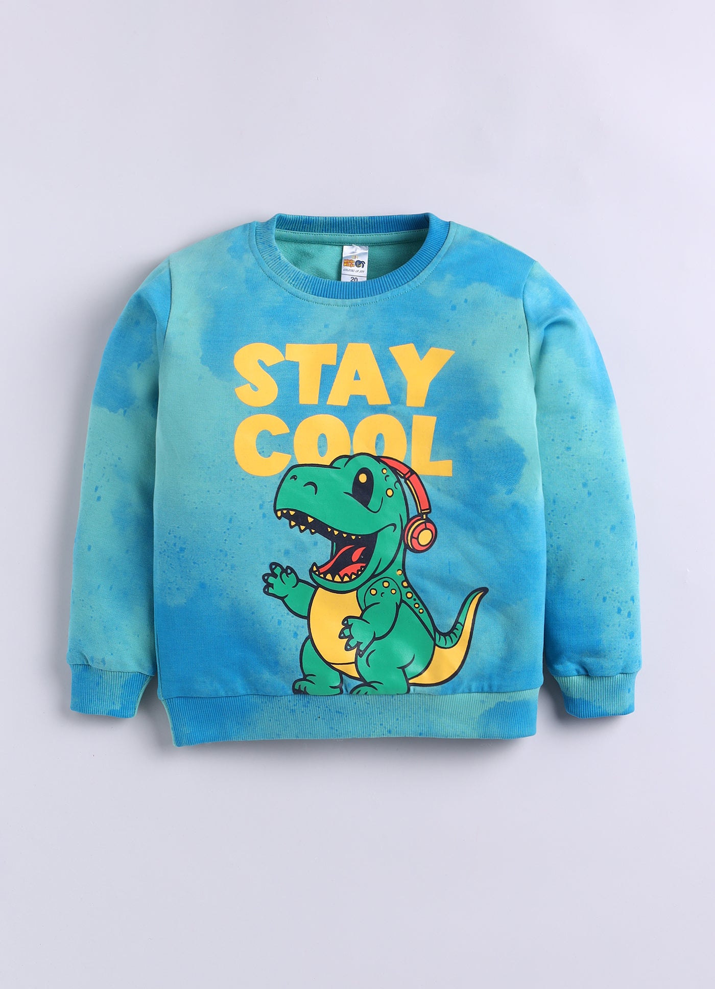 Baby Boys Casual Sweatshirt Track Pants  (MULTI)