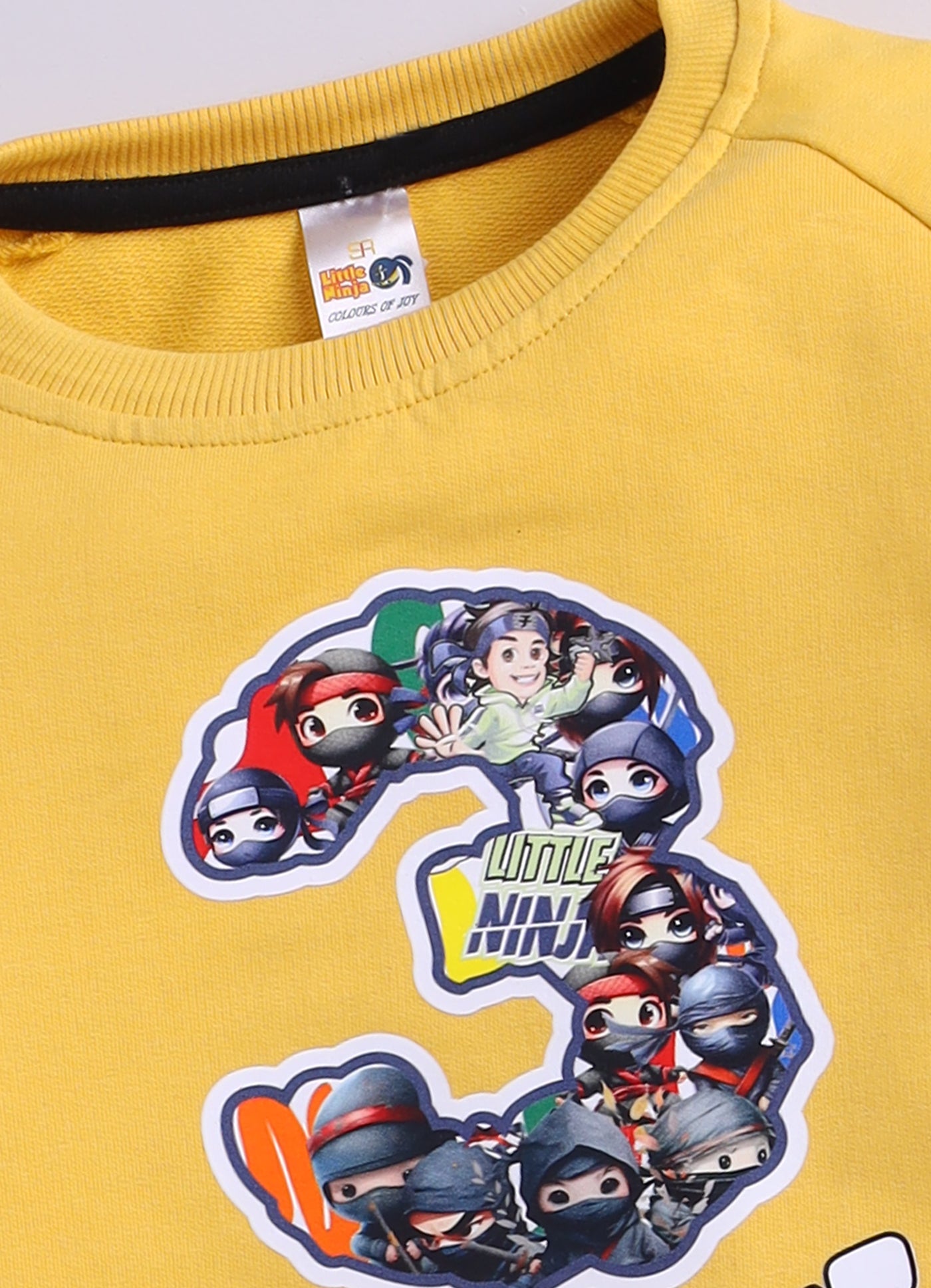 Baby Boys Casual Sweatshirt Track Pants  (MULTI)