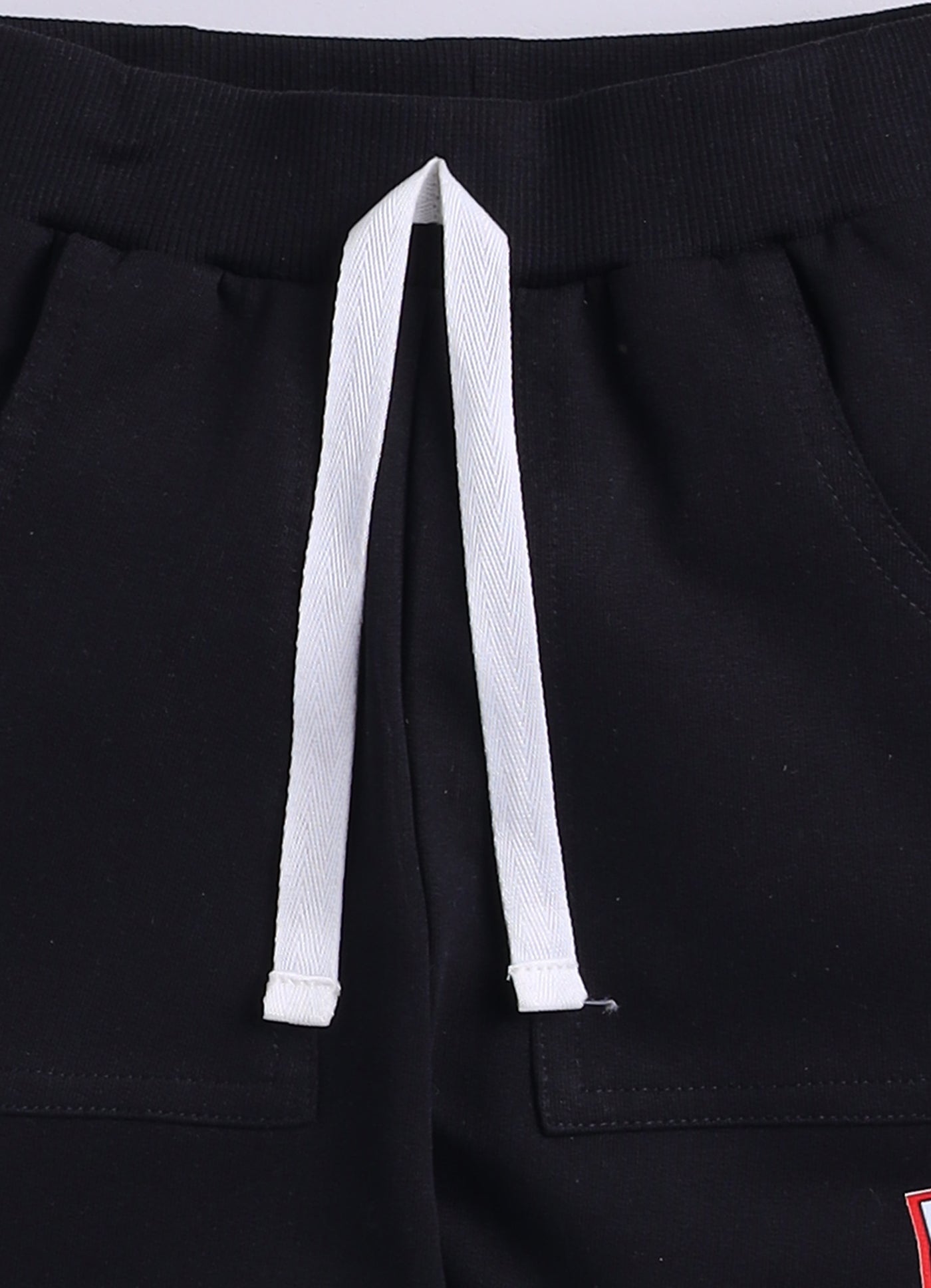 Baby Boys Casual Sweatshirt Track Pants  (MULTI)