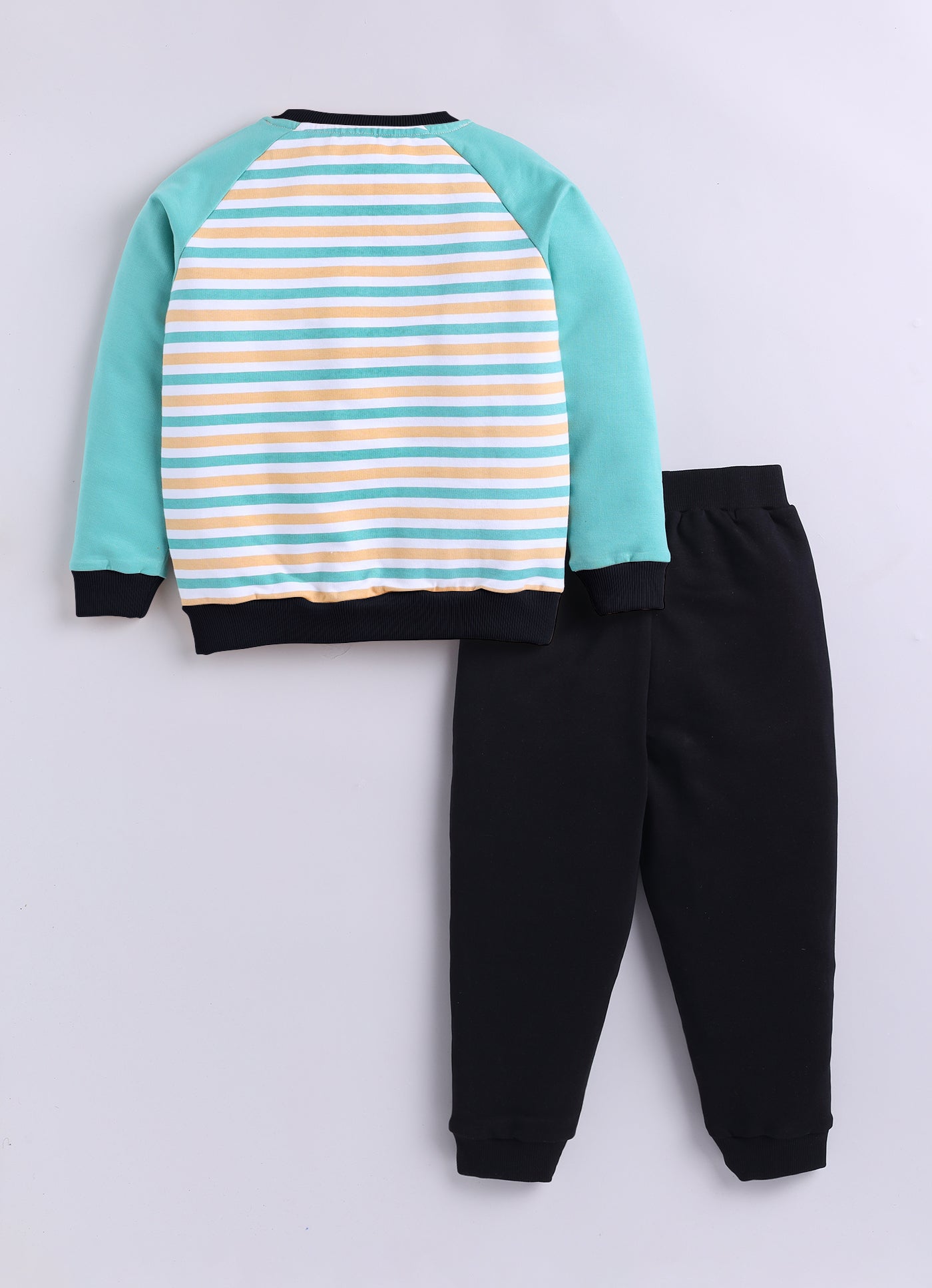 Baby Boys Casual Sweatshirt Track Pants  (SEA GREEN)