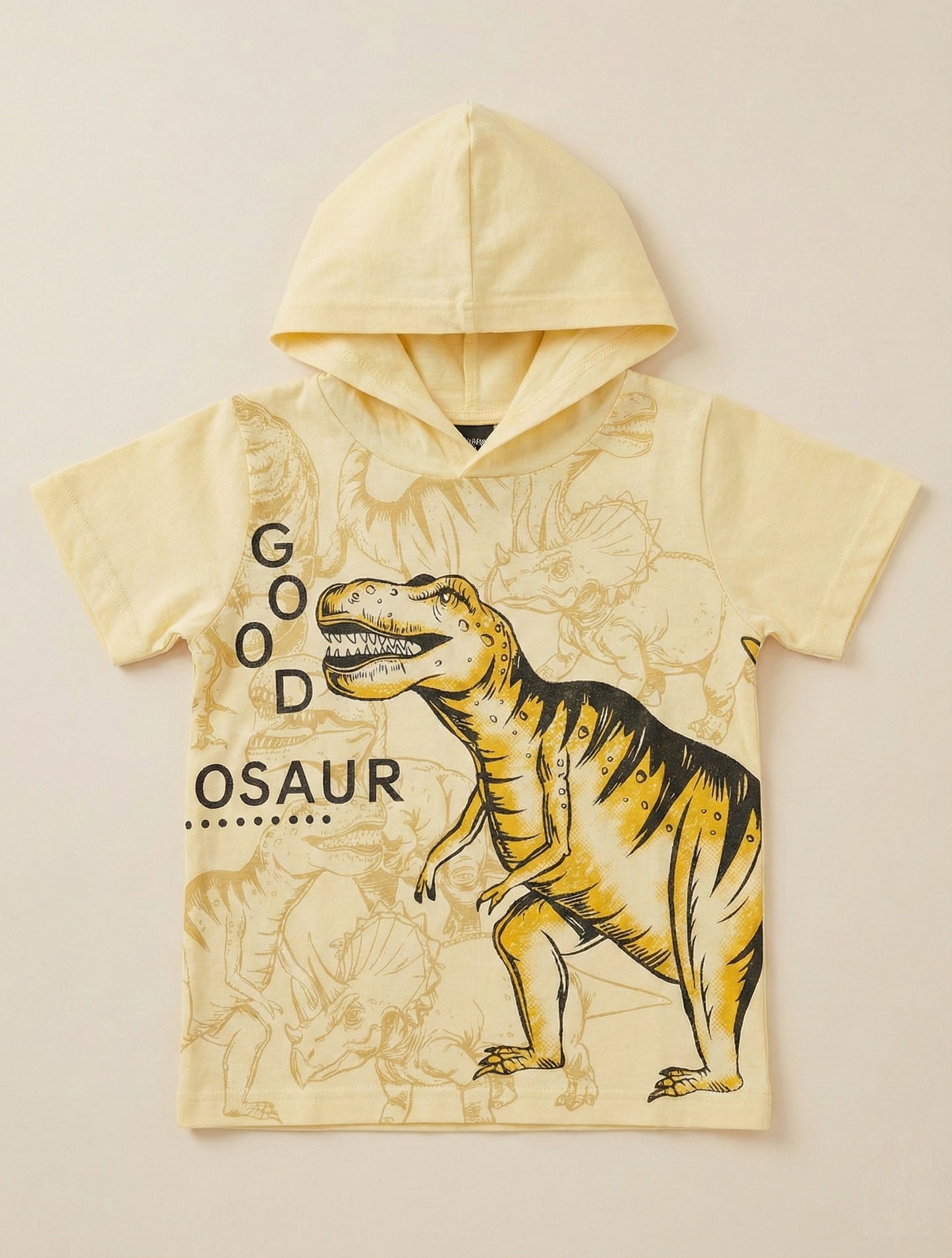 Dinosaur Hooded Pure Cotton Co-Ords Set
