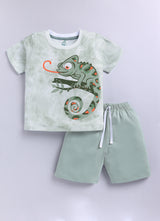 Chamaleon Printed Pure Cotton Co-Ords Set
