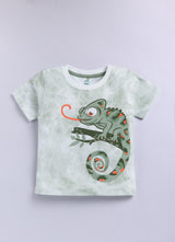 Chamaleon Printed Pure Cotton Co-Ords Set